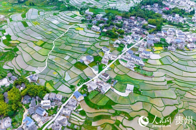 �����F��л�Ϫ�^(q��)��������������W(w��ng)ӛ�� Ϳ���z